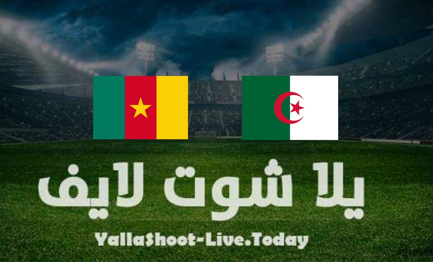 مشاهدة مباراة الكاميرون والجزائر بث مباشر يلا شوت